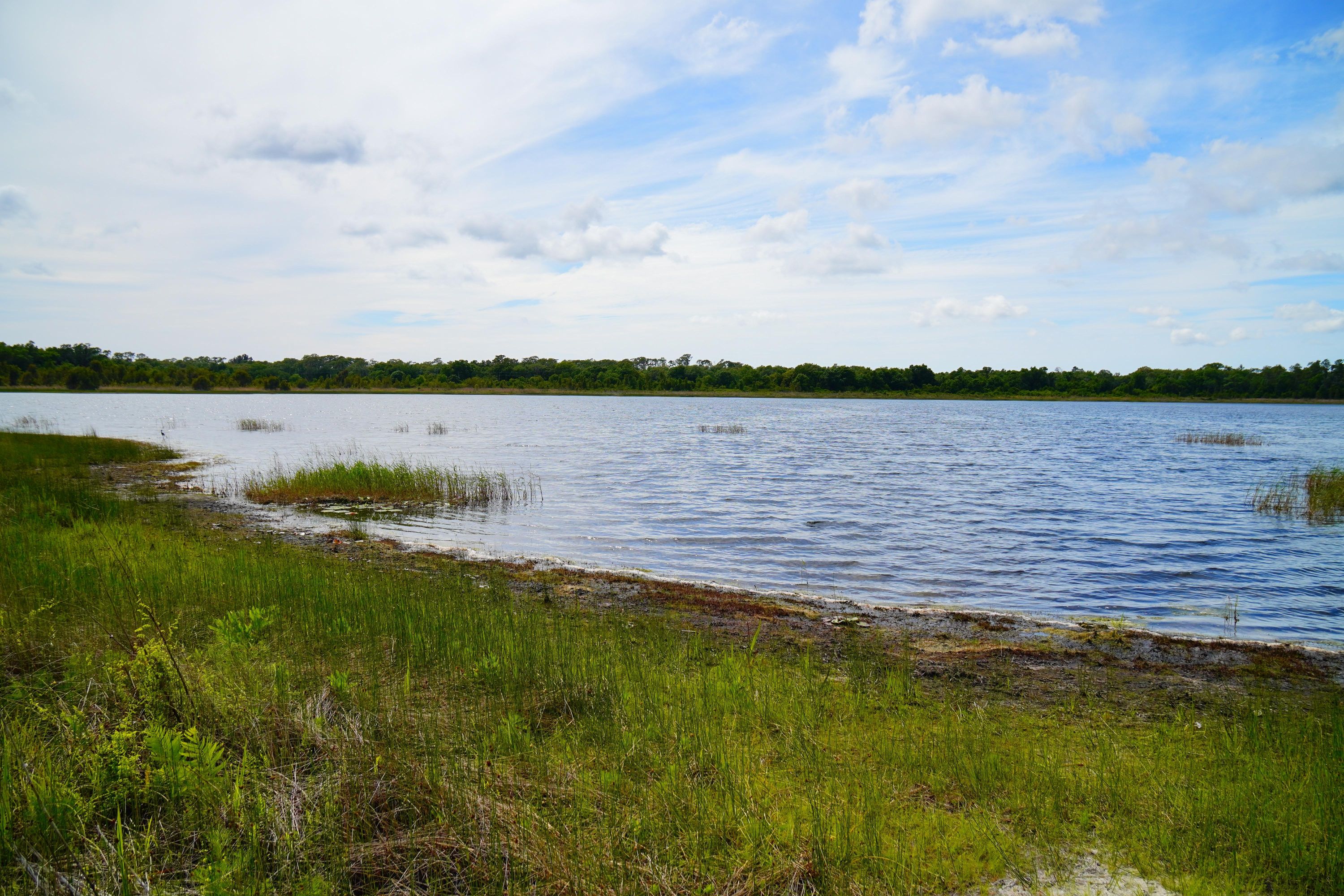 Odessa, FL.