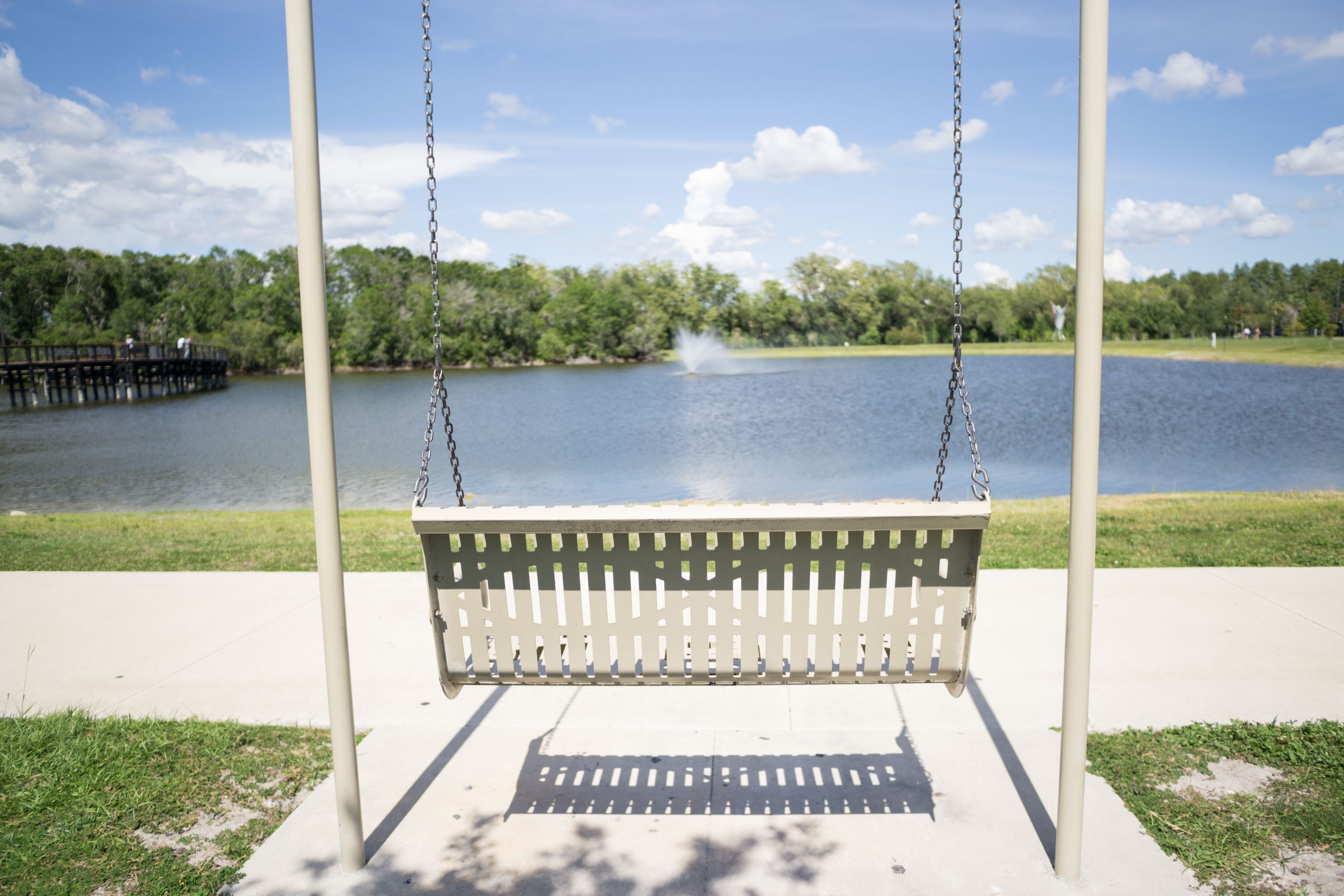 Carrollwood FL.